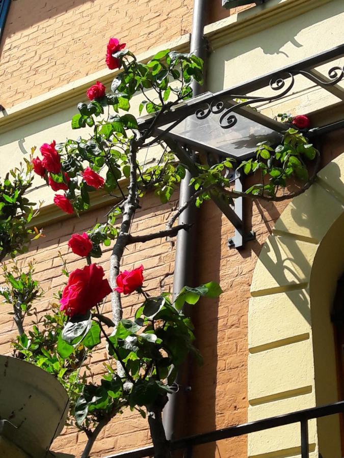Bed and Breakfast Stella Del Mar Bolonia Zewnętrze zdjęcie